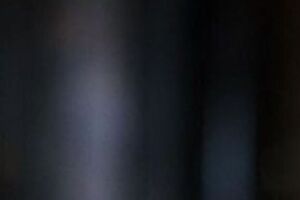 Минимальный месячный заработок Шоптенко за последние три года составлял €500