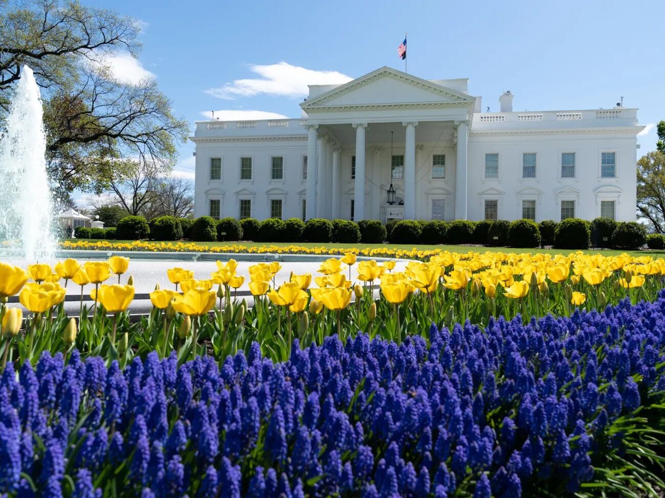 Європейські лідери прибудуть до Білого дому о 19.00