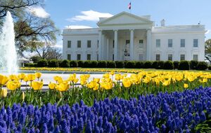 Європейські лідери прибудуть до Білого дому о 19.00