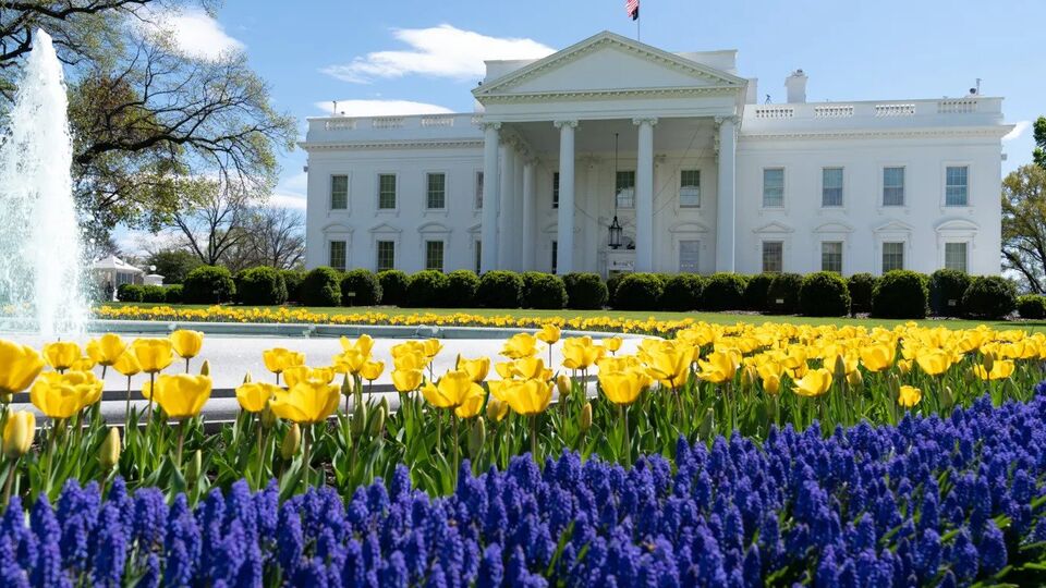 Европейские лидеры прибудут в Белый дом в 19.00