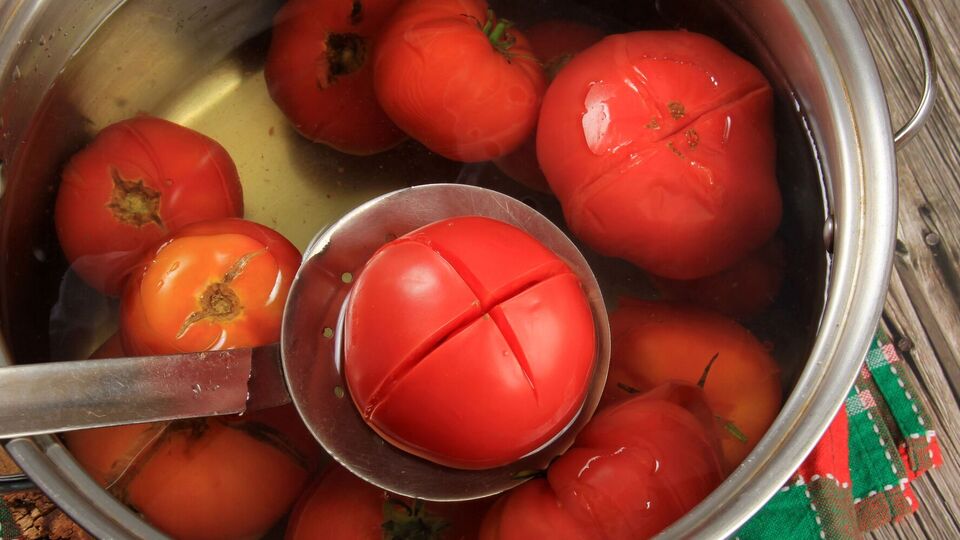 Скиталинская призналась, что и сама ежедневно ест томатную пасту