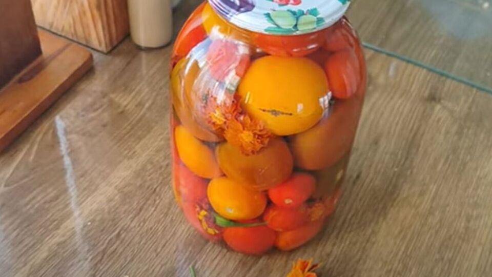 Чорнобривці надають помідорам приємної пікантності й квіткового аромату