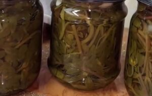 Портулак перед консервацией нужно хорошо промыть