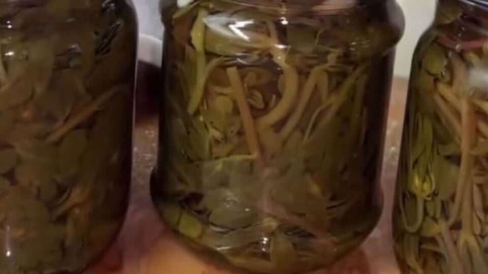 Портулак перед консервацією потрібно добре помити