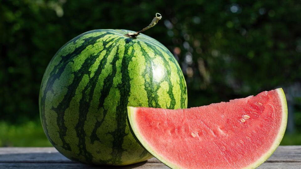 Спелый арбуз весит от 6 до 12 кг