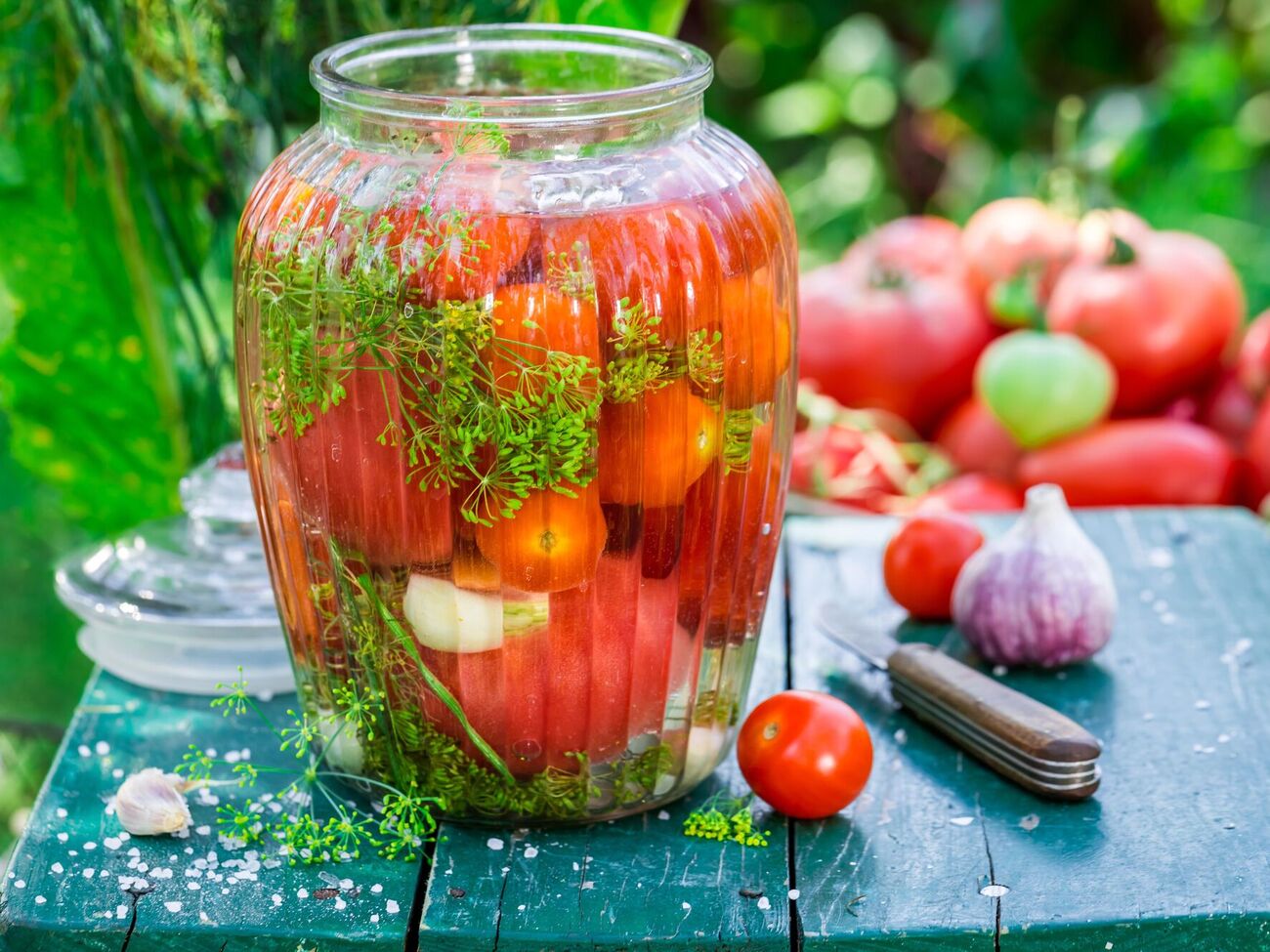 Квашеные помидоры можно есть уже через месяц