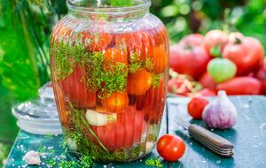 Квашені помідори можна їсти вже за місяць