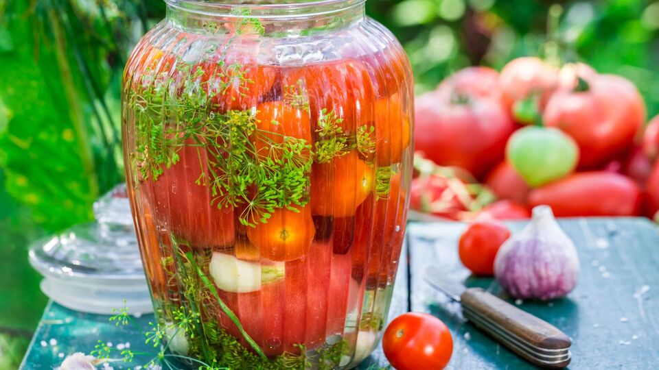 Квашеные помидоры можно есть уже через месяц