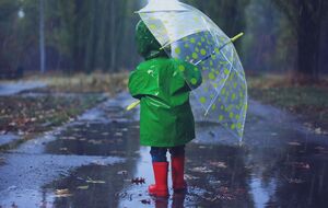 Осадки прогнозируют в восточных, юго-восточных и местами в западных областях