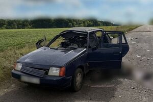 Унаслідок атаки загинули 70-річний водій і його 71-річна співмешканка, розповіла поліція