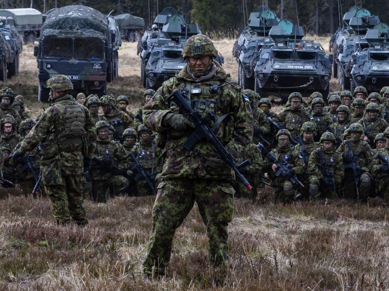 В Эстонии отметили, что обсуждать детали возможной военной миссии еще рано
