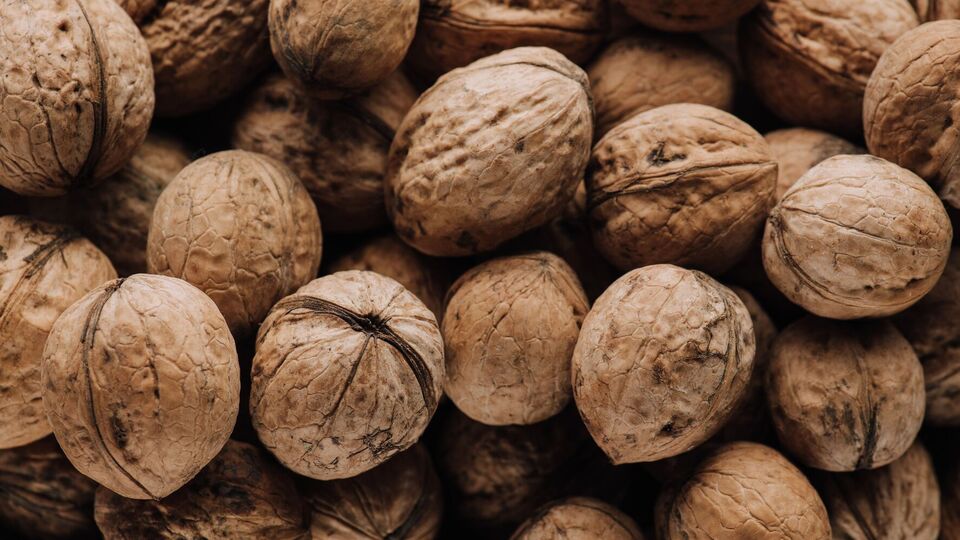 Волоські горіхи потрібно трохи підсушити