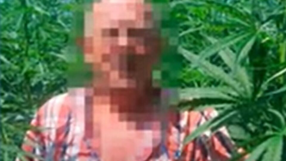 Коноплю выращивали в Житомирской области и планировали продавать в российскую Республику Дагестан, информирует СБУ