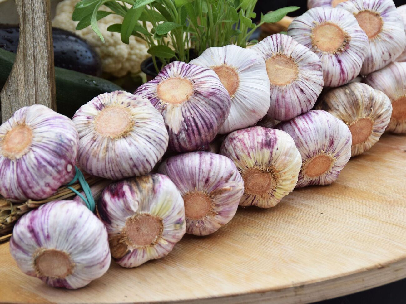 Есть множество способов сохранить чеснок здоровым и свежим до весны