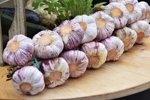 Есть множество способов сохранить чеснок здоровым и свежим до весны