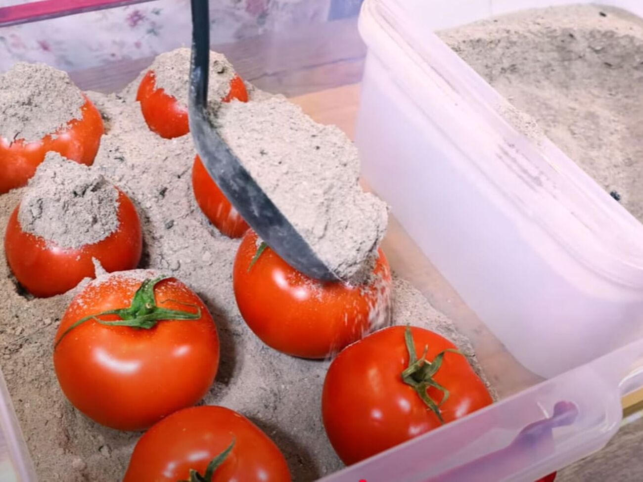 Помидоры для хранения должны быть целые, неповрежденные и слегка недоспевшие