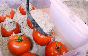 Помідори для зберігання мають бути цілими, непошкодженими і злегка недостиглими