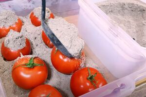Помидоры для хранения должны быть целые, неповрежденные и слегка недоспевшие