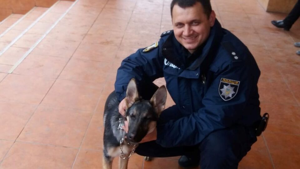 За словами Белецького, його адвоката, який, маючи відтермінування, пішов ознайомлюватися з матеріалами, доправили в ТЦК і нібито зламали ребро