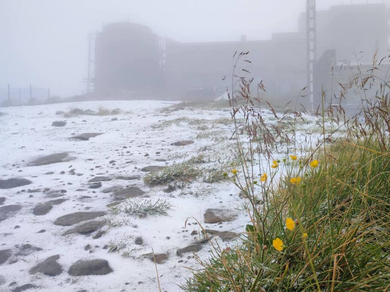 В украинских Карпатах выпал первый снег