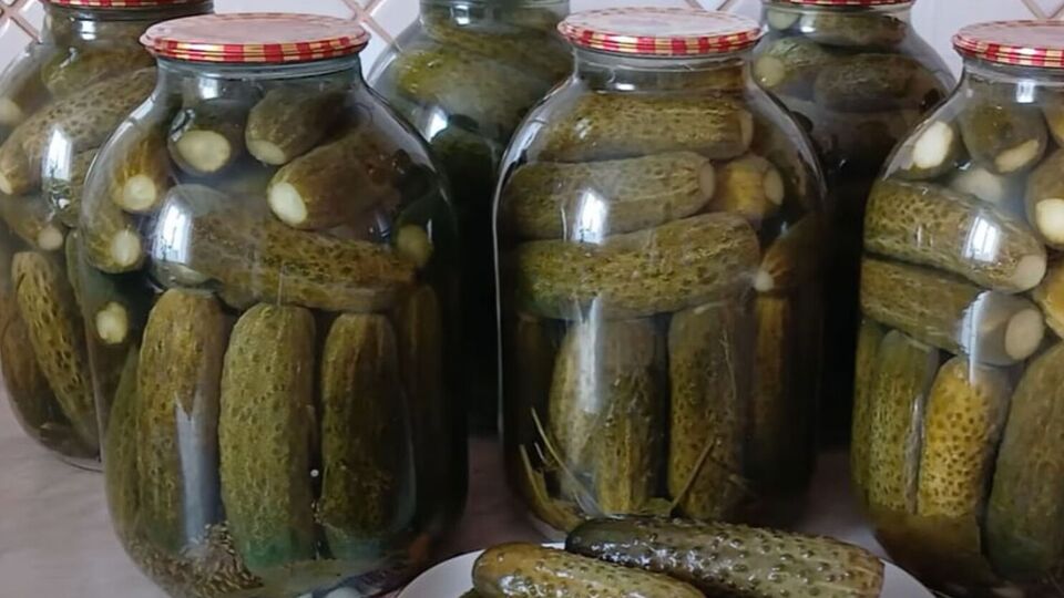 В процессе приготовления огурцы нужно дважды залить рассолом