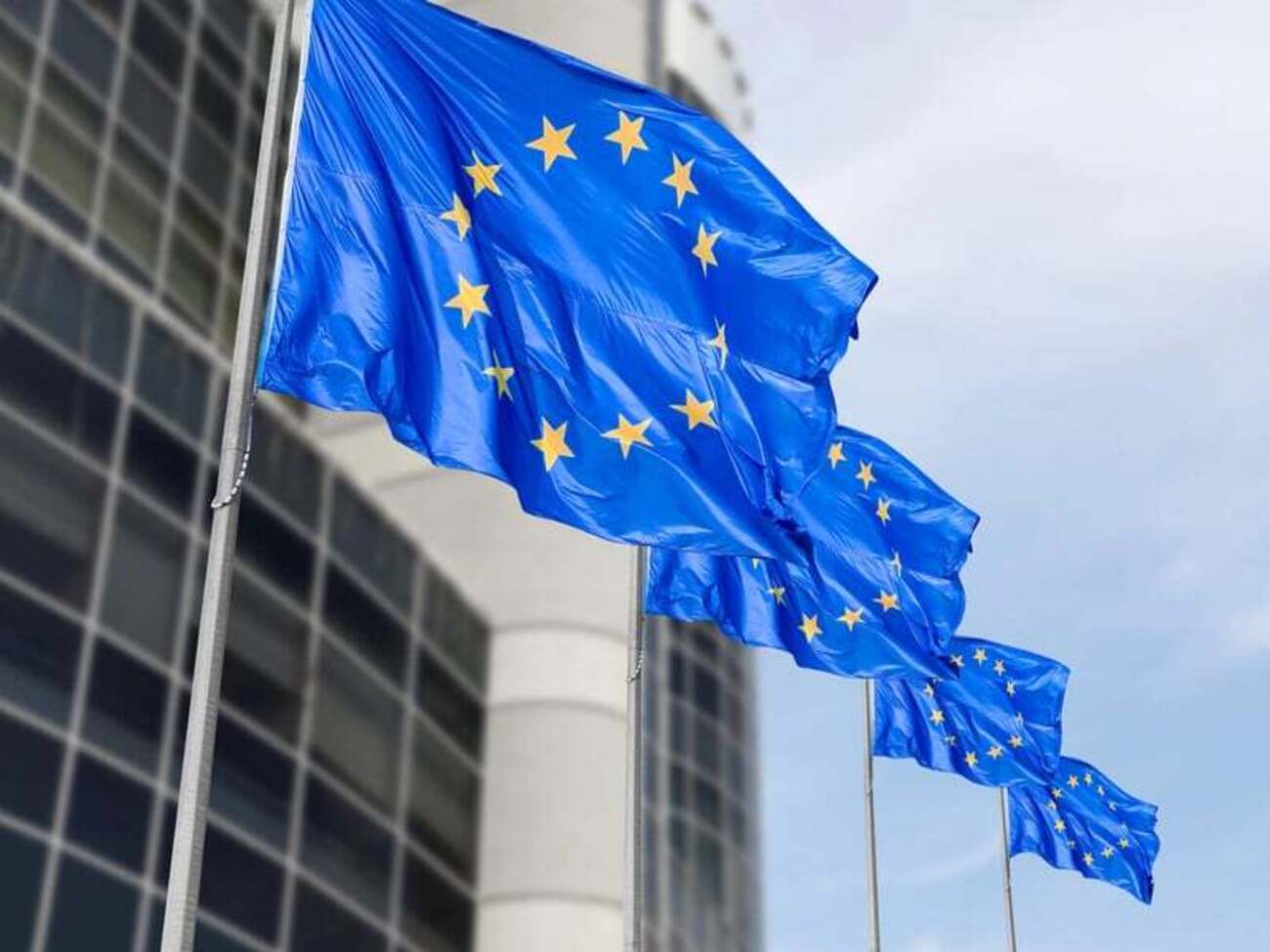 Представитель ЕК подчеркнул, что директива о временной защите не предусматривает сумму или минимальный порог соцпомощи