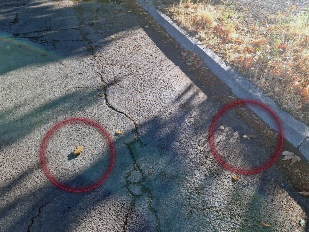 Щоб міна спрацювала, на неї досить наступити або наїхати, зазначили в поліції