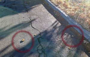 Щоб міна спрацювала, на неї досить наступити або наїхати, зазначили в поліції