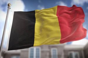 За словами міністра МЗС країни, коли ухвалять рішення про припинення вогню в Україні, Бельгія готова взяти участь у міжнародних силах