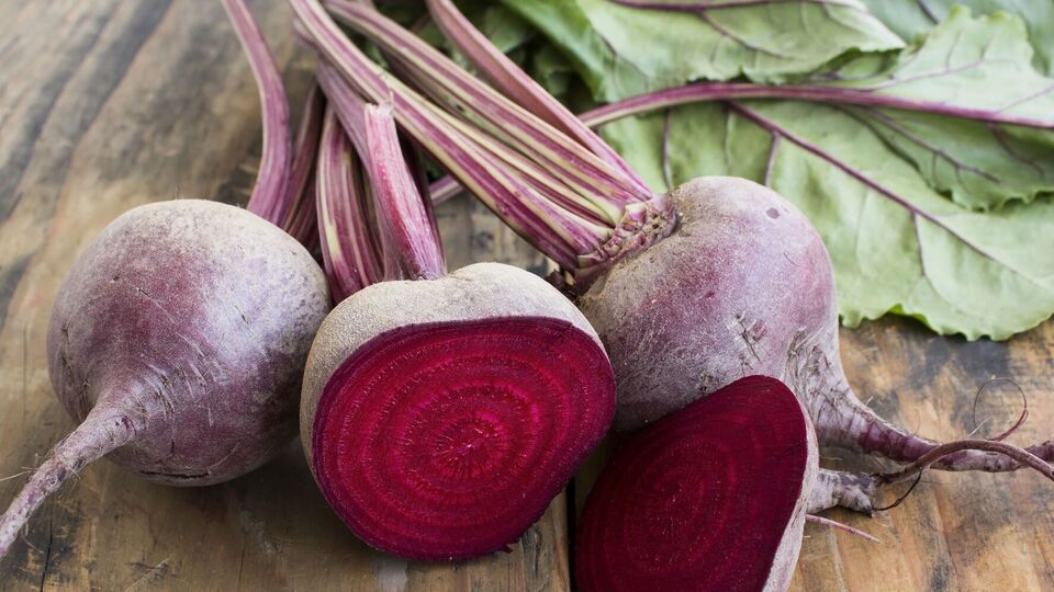 Білі кільця в коренеплодах з'являються через спеку і брак вологи