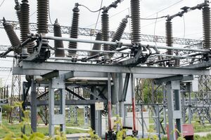 Без этого решения просто никак нельзя обойтись, сказала Гриб