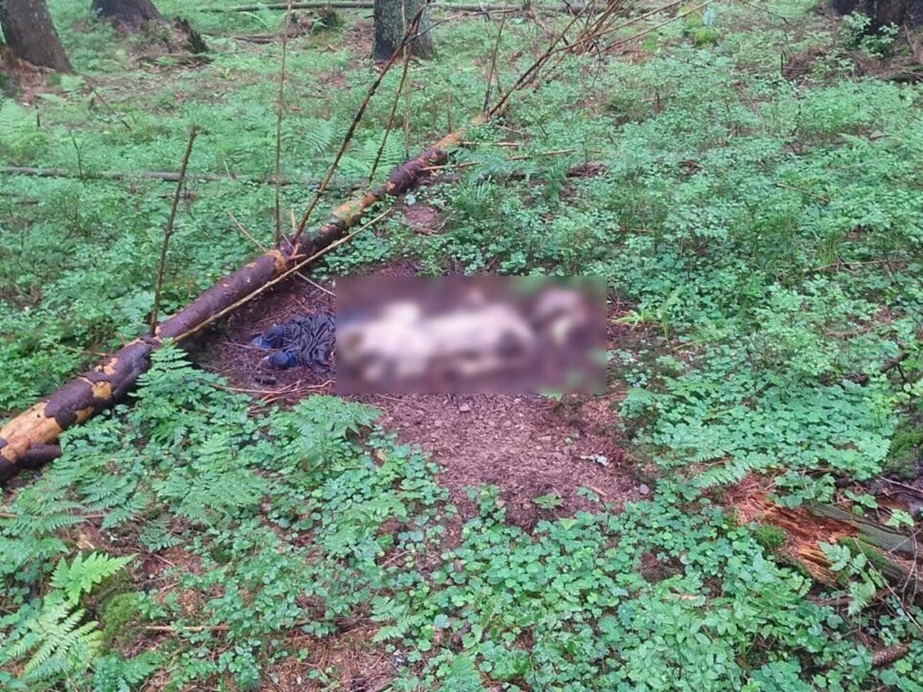 О данных фактах пограничники проинформировали сотрудников Национальной полиции