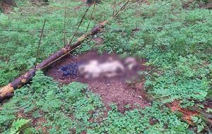 О данных фактах пограничники проинформировали сотрудников Национальной полиции