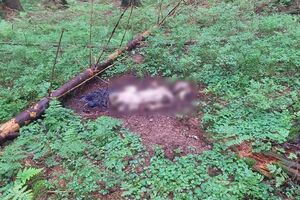 За цими фактами прикордонники поінформували співробітників Національної поліції