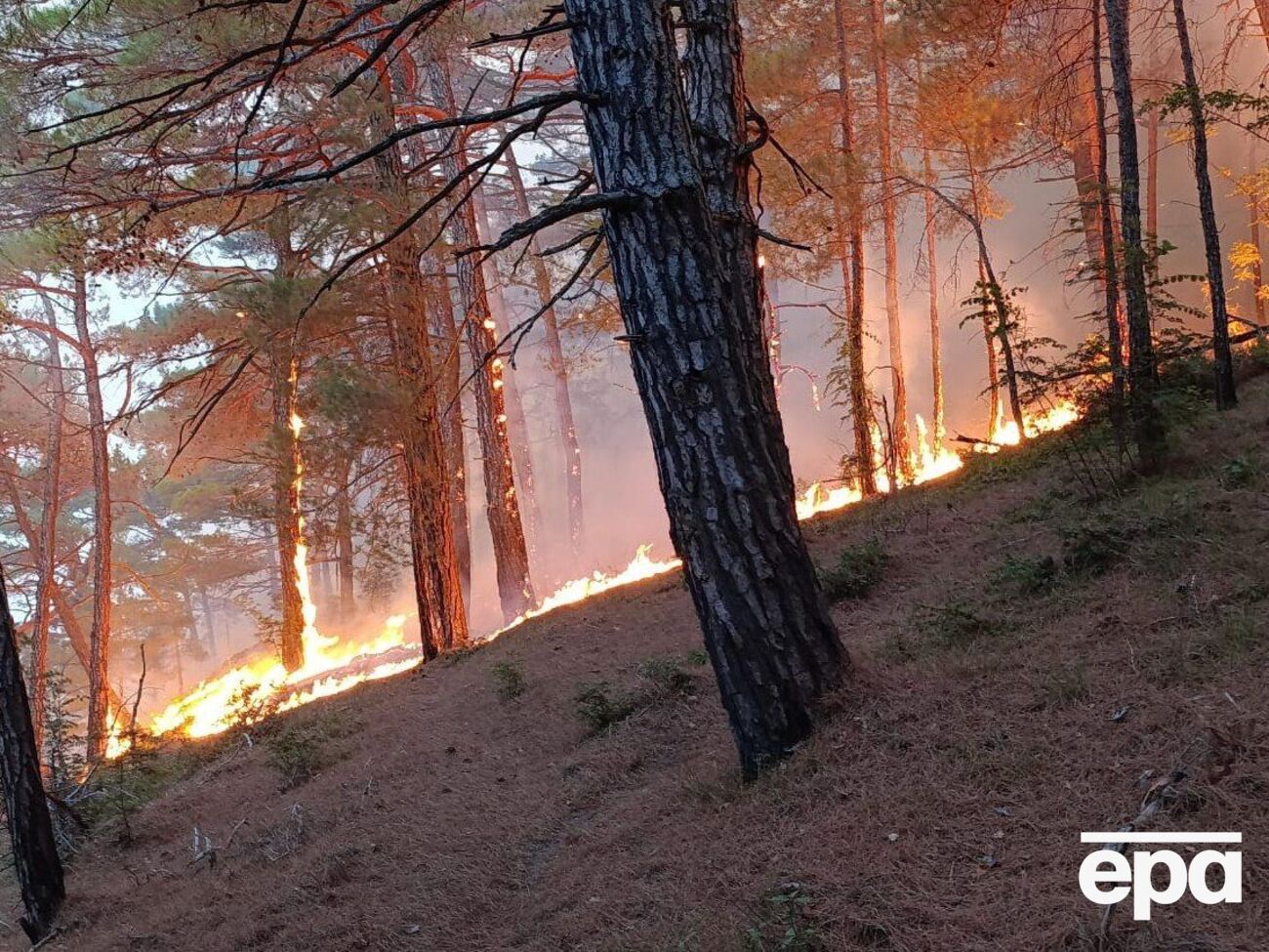 Пожежа розгорілася після падіння уламків БПЛА