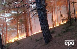 Пожар разгорелся после падения обломков БПЛА
