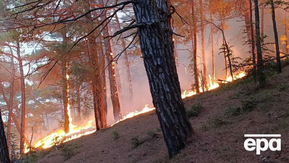 Пожар разгорелся после падения обломков БПЛА