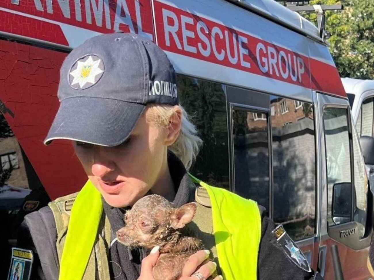 Из пострадавшего дома спасли нескольких животных