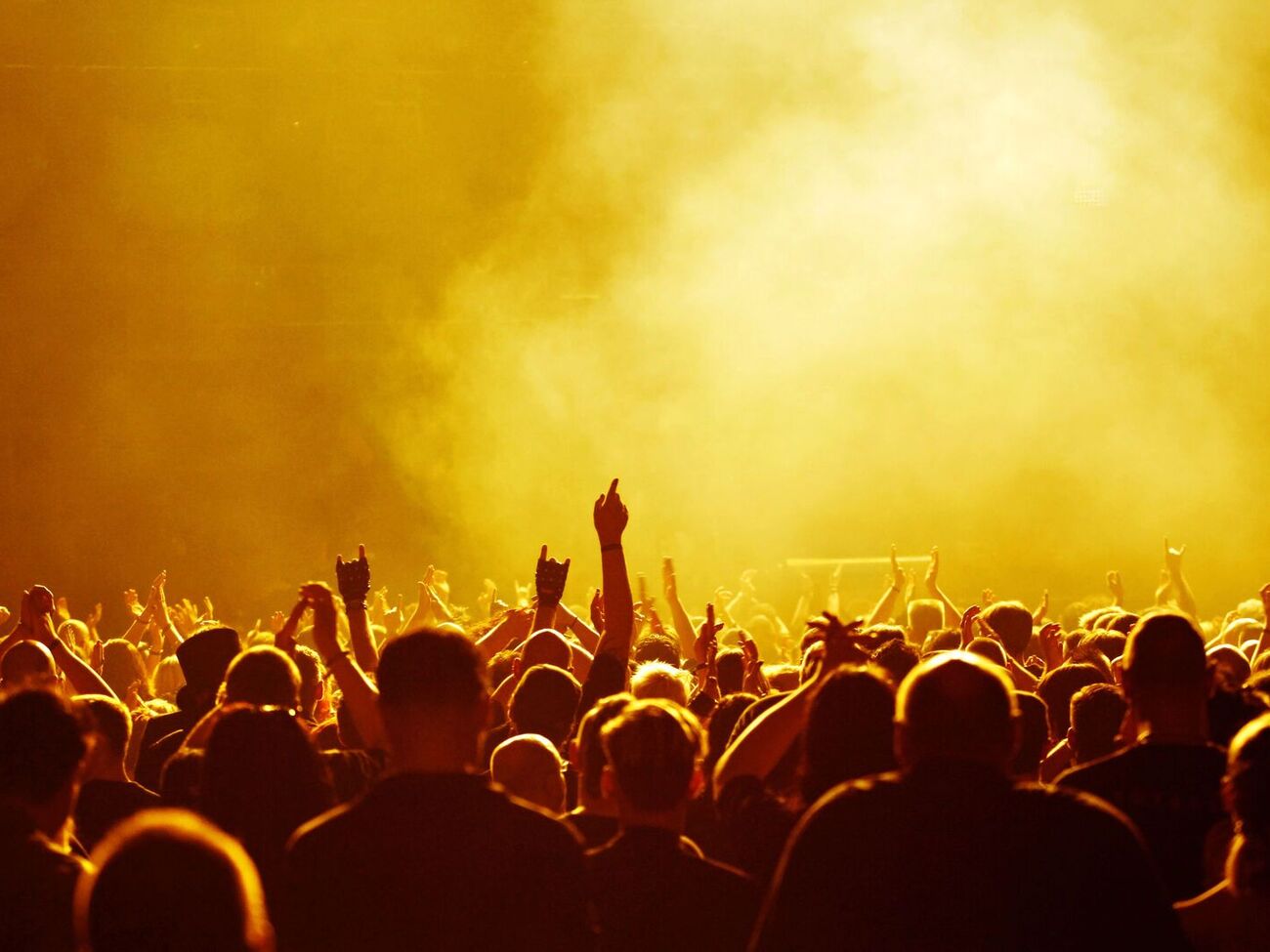 Полиция остановила концерт