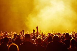 Полиция остановила концерт