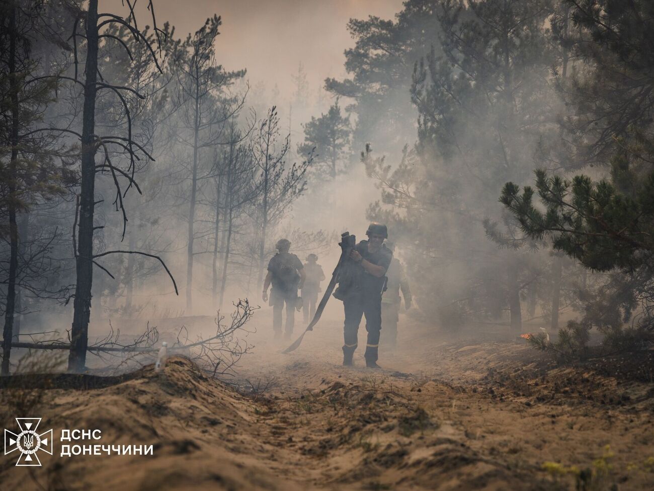 Огонь охватил примерно 1,4 тыс. га леса