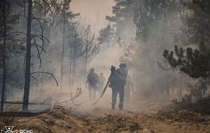 Огонь охватил примерно 1,4 тыс. га леса