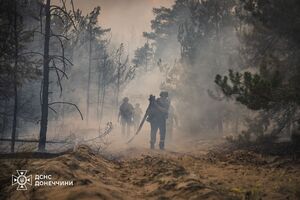 Огонь охватил примерно 1,4 тыс. га леса