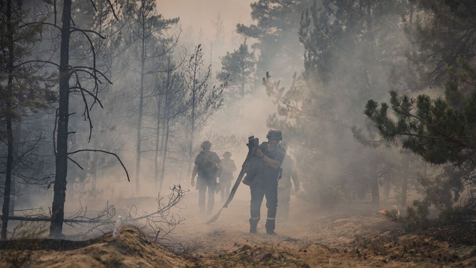 Огонь охватил примерно 1,4 тыс. га леса