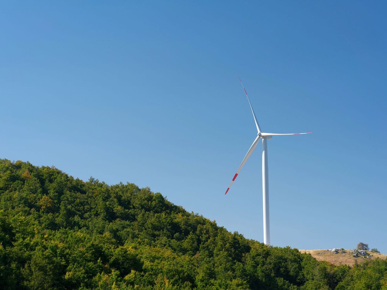 Освобождение от налогообложения импортного ветроэнергетического оборудования обеспечит скорейшее восстановление энергетической инфраструктуры, сказала Воронина