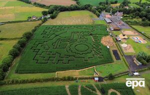 Организация TWI уже приобрела более 8 га земли в четырех разных местах королевства, говорится в материале