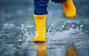 Дожди и возможные грозы прогнозируют в западной и восточной частях Украины