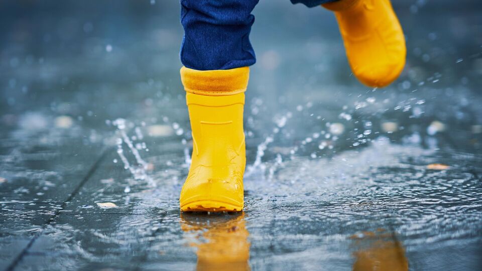 Дожди и возможные грозы прогнозируют в западной и восточной частях Украины