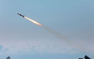 Ракету "Фламинго" путают с ракетой "Нептун"