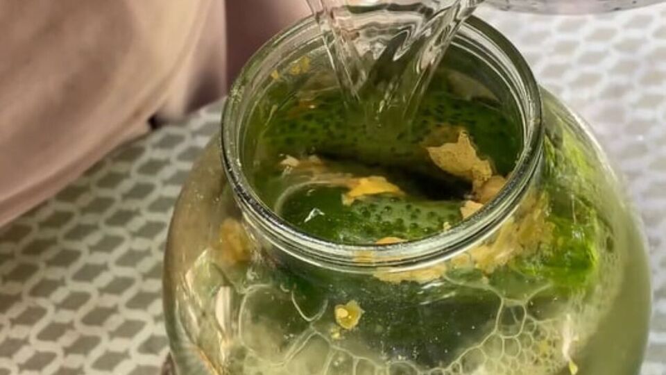 Для консервування огірків знадобиться гірчиця